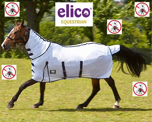 Mesh fly rug with - mesh, belly