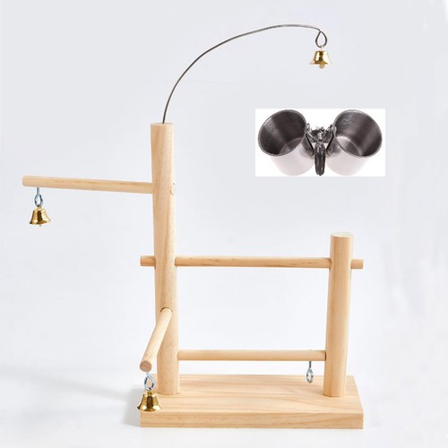 Parrot playstand bird - parrot,