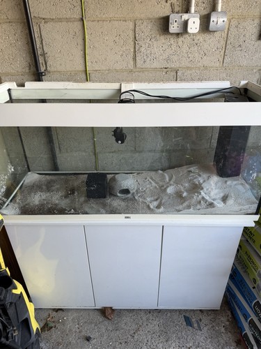 Jewelfish tank with all - jewelfish,