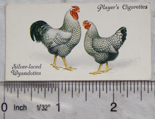 1931 john player - 1931, &
