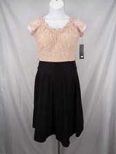 Stop Staring Alicia Estrada Dress Large Lace Flare Retro Vintage Inspired New