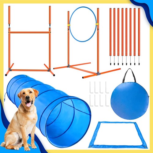 Dog agility equipment 6pcs - dog,