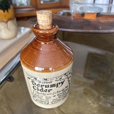 Dorset Scrumpy cider 19.5