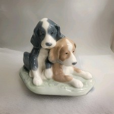 Beautiful 2 Tired Spaniel