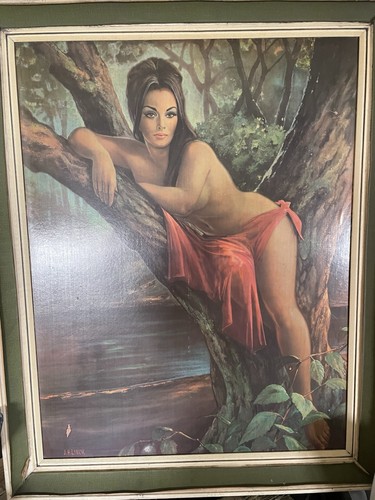 Lynch 1960s woodland - lynch,