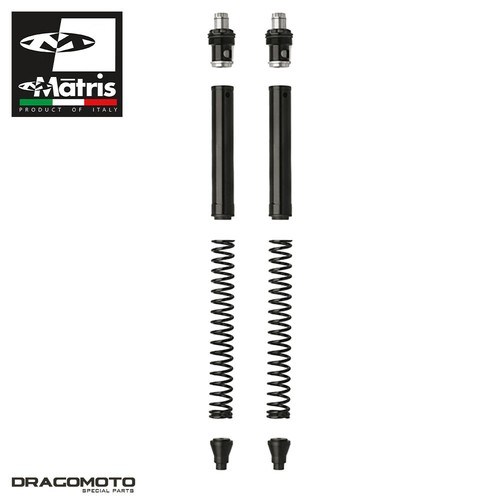 Fork kit suzuki rgv 250 - fork,