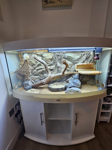Microclimate evo lite reptile - microclimate,