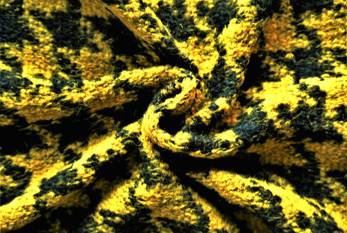 Honey gold black - gold, dog
