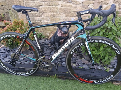 Bianchi infinito carbon - cv,