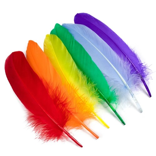 Real goose feathers natural - real,