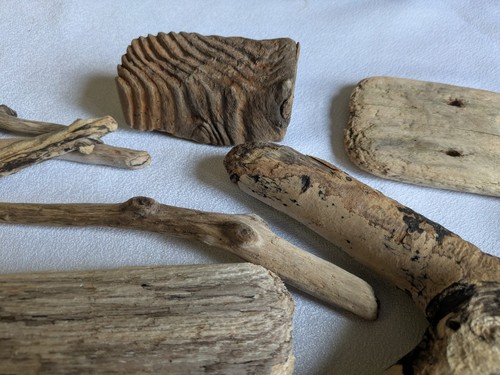 Collection driftwood - a, of