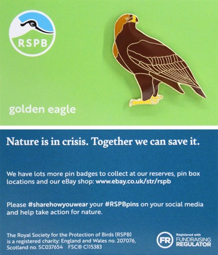 Rspb pin badge niic - rspb,