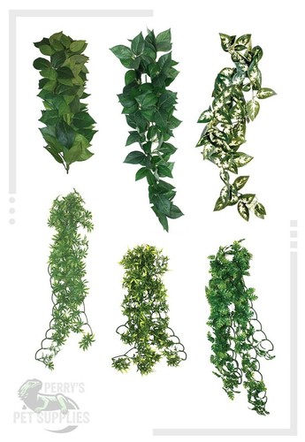 Komodo vivarium hanging vine - komodo,