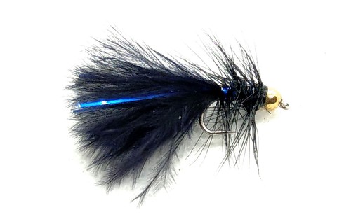 Goldhead black blue - goldhead, flash