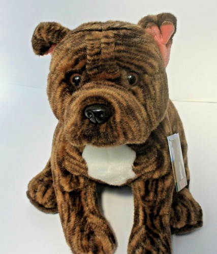 Amstaff staffie staffordshire - amstaff,
