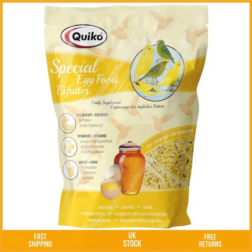Canary breeding moulting egg - canary,