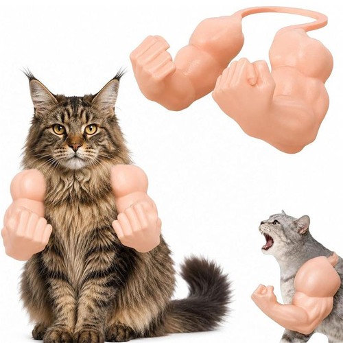 Neck hanging cat - hanging, hulk