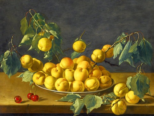 Apricots cherries tile mural - apricots,