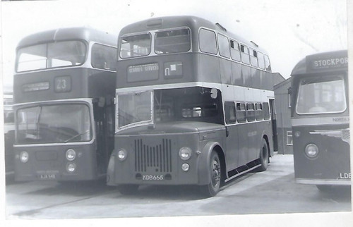 Bus photo kdb665 north - kdb665,