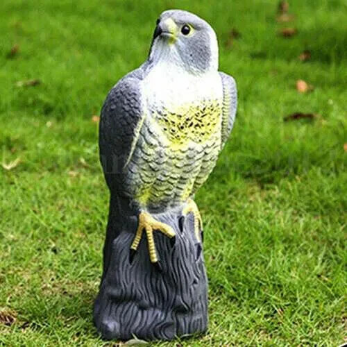 Decoy falcon hawk deterrent - decoy,