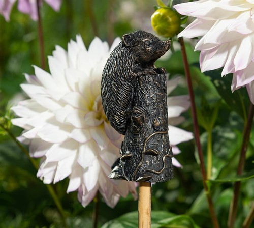 Cane companions decorative - cane,