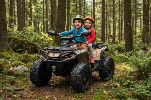 Licensed 24v can - 24v, outlander