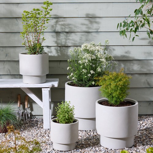 Vintage beige plant - vintage,