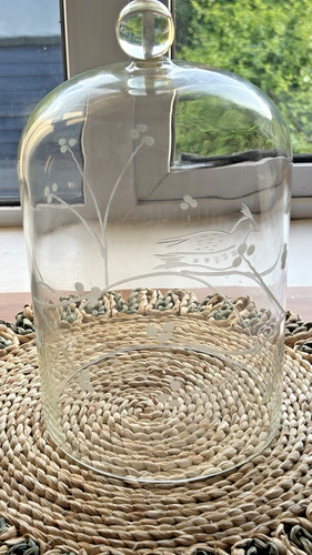 Large etched glass - , cloche