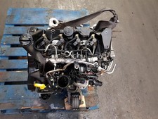 2010-2025 MK6 VOLKSWAGEN