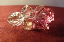 Swarovski Blossoming Rose