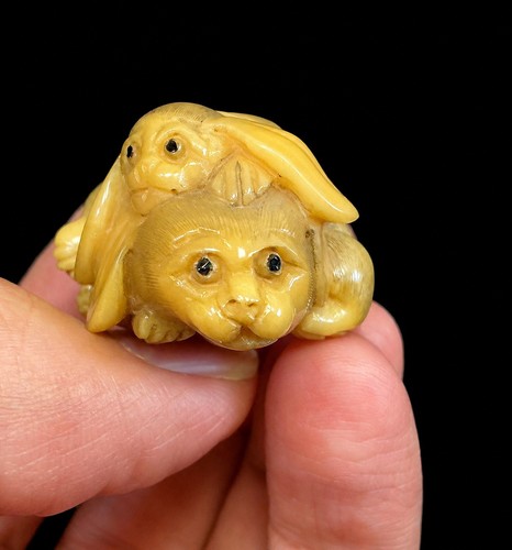 Antique japanese tagua - tagua, nut