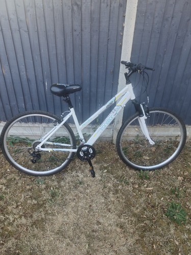 Apollo transition adult - transition,