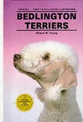 Bedlington terriers young - bedlington,