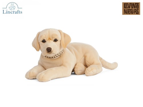 Golden labrador lying - labrador, plush