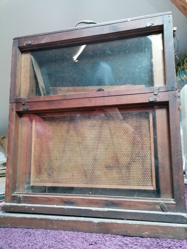 Vintage observation hive - vintage,