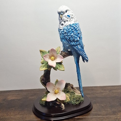 Blue budgie perched branch - blue, on