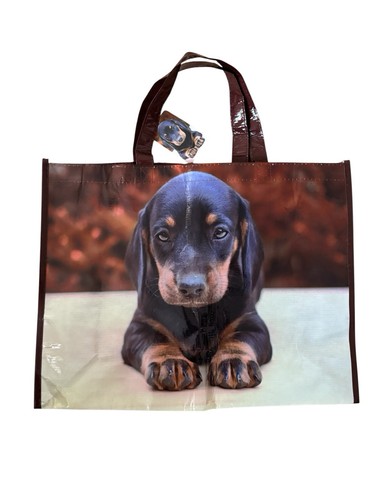 Dachshund sausage dog large - sausage,