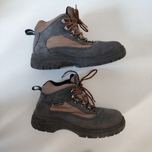 Hoggs fife rambler - of,