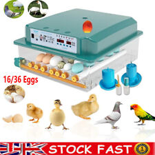 16/36 Eggs Digital Incubator