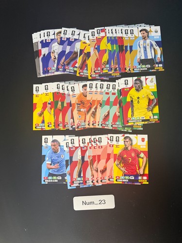 Panini adrenalyn world cup - panini,