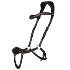 QHP Anatomical Bitless Bridle