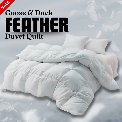 Goose down feather - down, 13.5