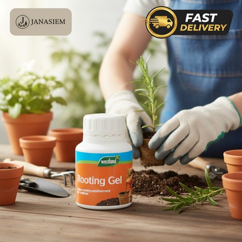 Natural transparent rooting - transparent,