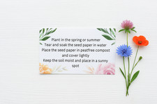 Plantable Seed Paper care cards