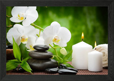 ZEN garden Framed Wall Art