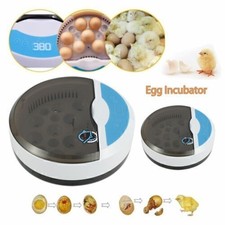 9 Eggs Incubator Temperature Control Digital Automatic Chicken Duck Hatcher SP