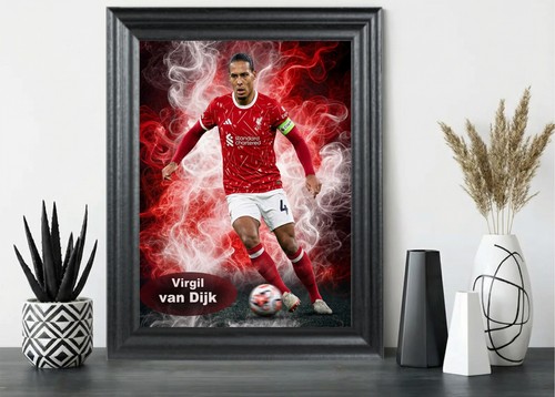 Liverpool virgil van dijk - liverpool,