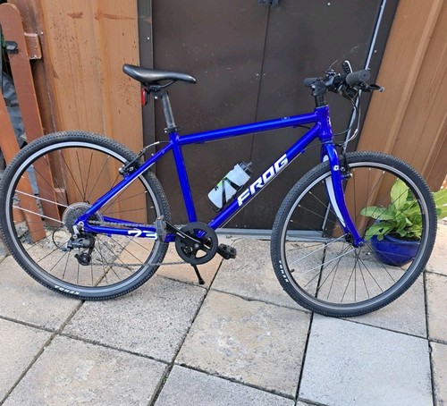 Frog childs bike - frog,