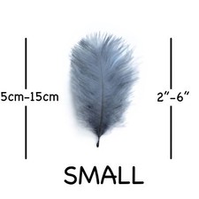 Small Ostrich Feathers - 5cm - 15 cm - Fluffy & Soft - 10 Per Pack -  23 Colours