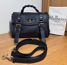Stunning Mulberry Mini Alexa